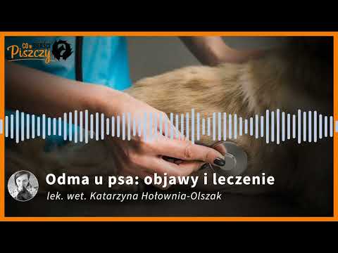 Odma u psa | Lek. wet. Katarzyna Hołownia-Olszak