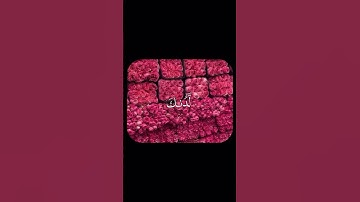 قرآن كريم سورة آل عمران 💗 #اللهم_صل_وسلم_على_نبينا_محمد #اكسبلور  #لايك #قرآن