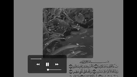 سورة القلم من الآية 1- 7 | سالم الرويلي.