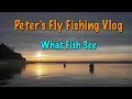 Peters fly fishing vlog what fish see