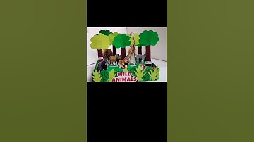 Wild Animals TLM | Wild Animals Model  #tlm #sciencetlm #wildanimalstlm