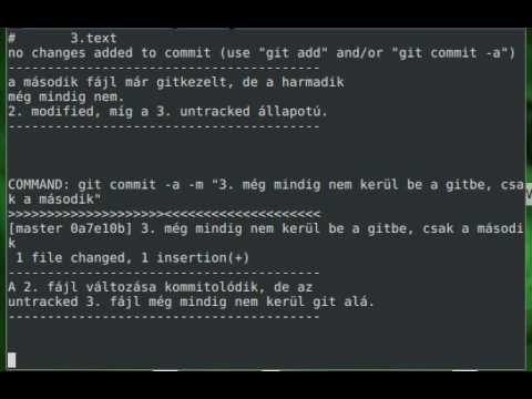 git tutorial bash scripts - YouTube