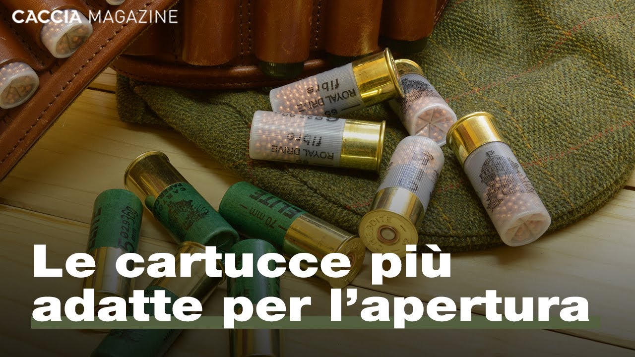 La cartuccia giusta per la caccia con il cane - Caccia Magazine Academy