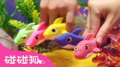 碰碰狐！鲨鱼宝宝 嘟噜噜嘟噜 🦈