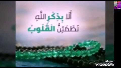 الشيخ حسام عادل /سورة الرعد