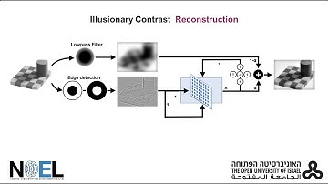 Biologically Plausible Illusionary Contrast Perception with Spiking Neural Networks