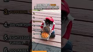 Top Dogs In Halloween Costumes