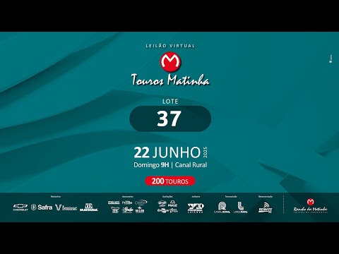 LOTE 37