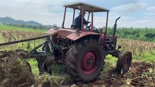 Belarus 80 tractor doing ploughing job