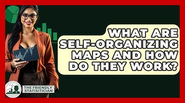 What Are Self-Organizing Maps And How Do They Work? - The Friendly Statistician
