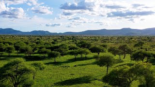 Explore Kidepo Valley National Park | Uganda