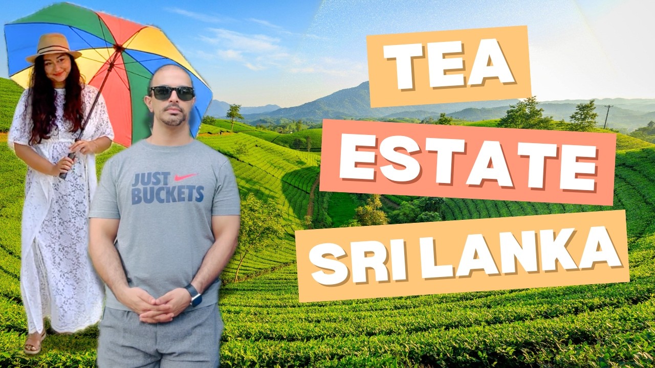 Экскурсия по чайным плантациям Шри-Ланки 🇱🇰 | Чайная плантация Herman Teas и эксклюзивная чайная ...