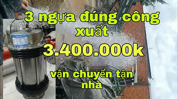 bơm chìm cực mạnh, 3 ngựa bơm nước sạch đúng công xuất