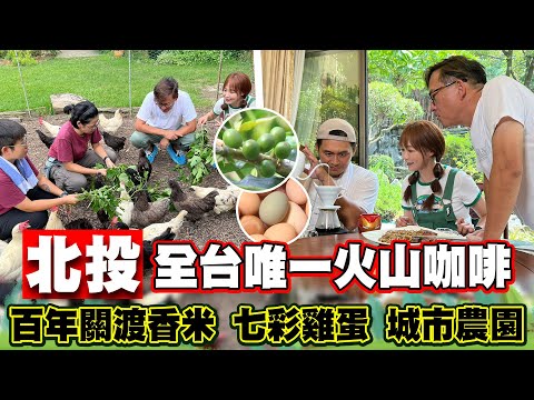 台灣-詹姆士出走料理-EP 232-全台唯一的火山咖啡!傳承六代關渡金黃香米、七彩雞蛋農場、城市綠洲農園美味料理樣樣來