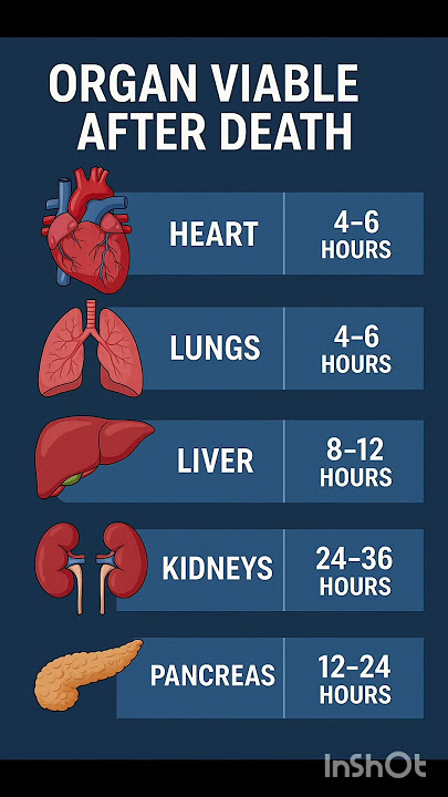 Organs Viable After Death #organ #death #organsviable