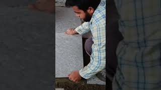 Like And Tais Lagani