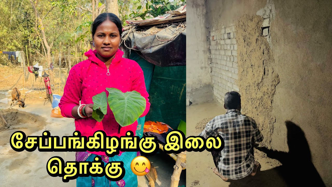 இன்று சேப்பங்கிழங்கு இலையில் மாங்கா வத்தல் சேர்த்து தொக்கு 😋🙏செய்ததை பாருங்க.