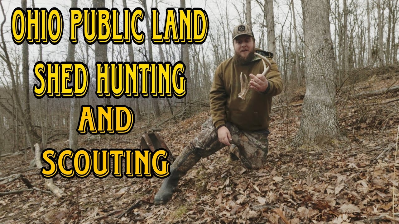 Ohio public land Shed Hunting 2026 