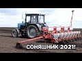 Сіємо соняшник 2021! МТЗ 892 із причіпними сівалками Гаспардо СП8