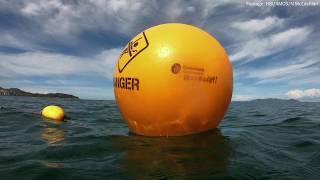 Shark culling in the Great Barrier Reef