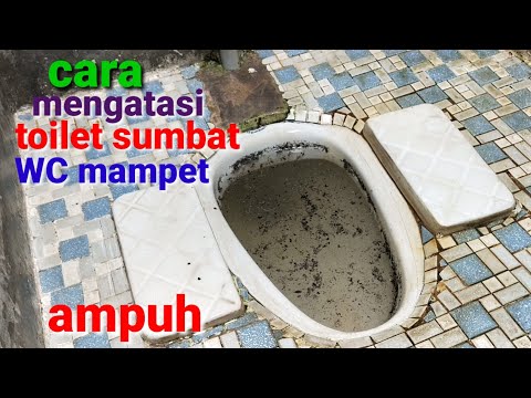 Video: Apakah toilet lama sudah usang?