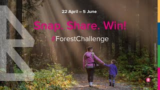 #Cities4Forests | #ForestChallenge 2021 Winners Announcement
