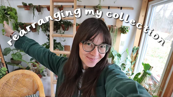Rearranging My Houseplant Collection!