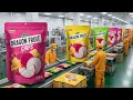 How Dragon Fruit Chips Are Made (Full Factory Process)