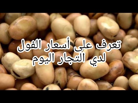 ارتفاع في اسعار الفول المستورد سعر الفول البلدي والمستورد اليوم الاثنين الموافق 21 11 2022