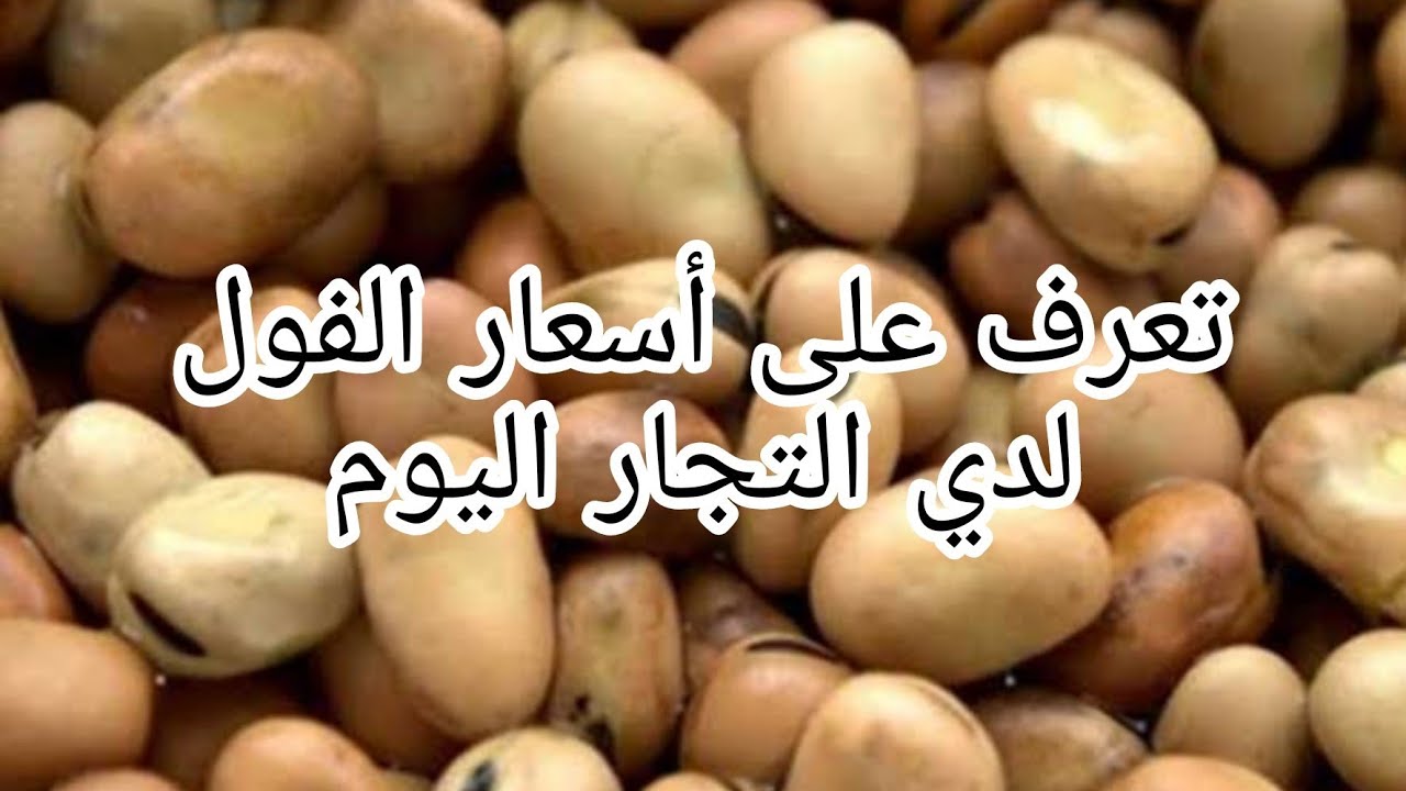 ارتفاع في اسعار الفول المستورد/سعر الفول البلدي والمستورد اليوم الاثنين ...