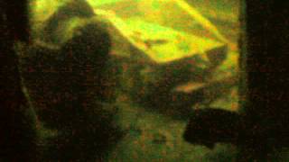 PICT0429