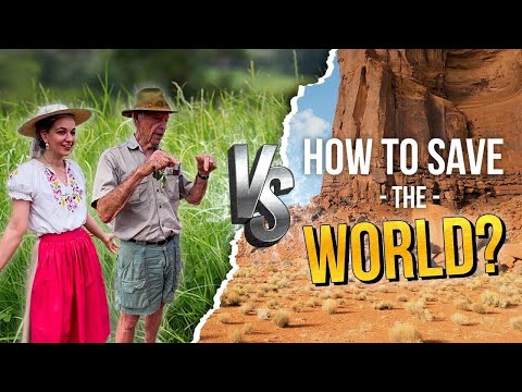 Blueprint to saving the world 🌎🌿
