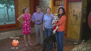 SA Live - 9/1/15