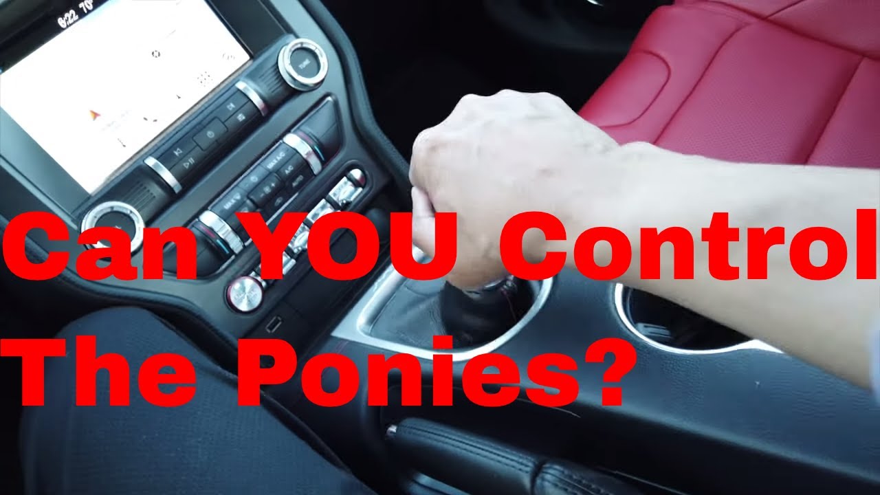 Best Detailed Walkaround 2019 Ford Mustang GT Coupe Premium