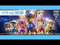 映画「パウ・パトロール ザ・ムービー」特報