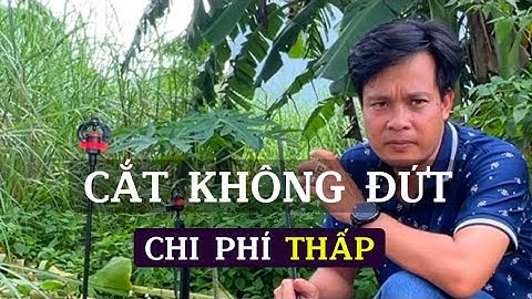 Chân cắm béc sợi thuỷ tinh 8mm chống cắt cỏ với giá hợp lý