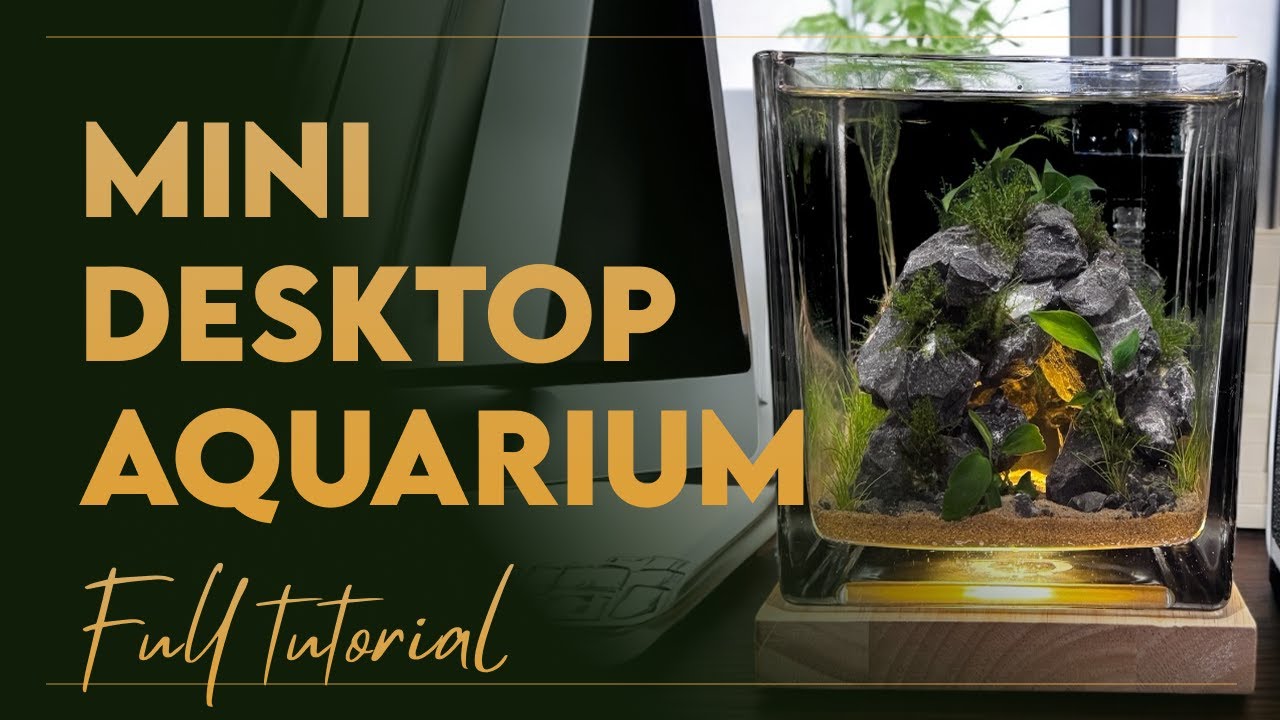 Nano Aquascape Tutorial: Glowing Cave in a 15cm Desktop Aquarium (Amazon Tank build)