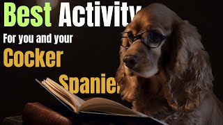 Another 8 AMAZING Fun Activities to do With Your English Cocker Spaniel