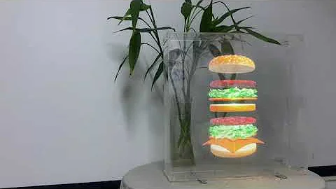 3D Hologram Fan, 52cm 3D Hologram Projector HD LED Holographic Christmas Tree. Link in Description.