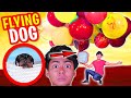 MAKING My Dog FLY Using BALLOONS