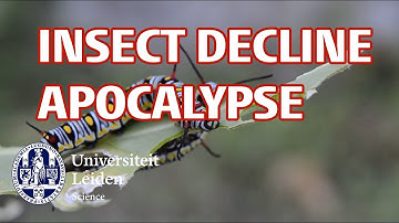 Triple E lecture by De Kroon & Hallman | Insect decline Apocalypse