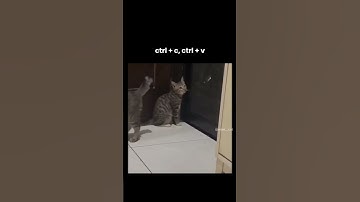 CTRL + C or CTRL + V 🙄 #coding #relatable #shorts