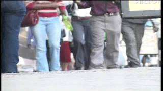 Stima sacco share drive Net Worth