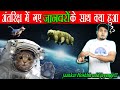 अंतरिक्ष में भेजे गए जानवरों का क्या हुआ था ? | The Story of Animals sent to Space