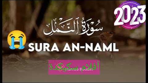 سورة النمل كاملة - | Surah Al Naml - Peshawa Kurdi