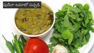 పుదీనా టమాటో పచ్చడి | Mint Tomato Chutney | Madhuri Recipe Book