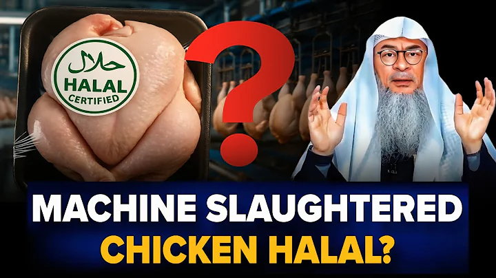Are Machine Slaughtered Chickens Halal To Eat || Assim Al Hakeem || Sheikh Asim