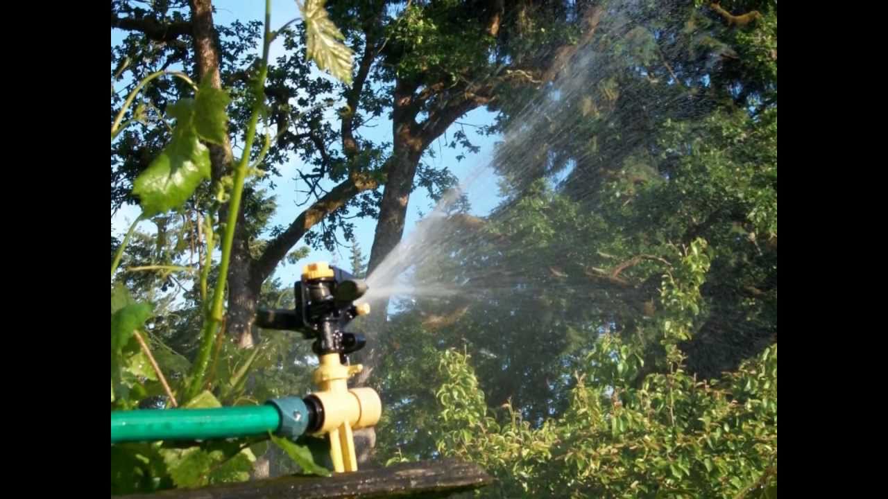 Sprinkler Above the Grapevine YouTube