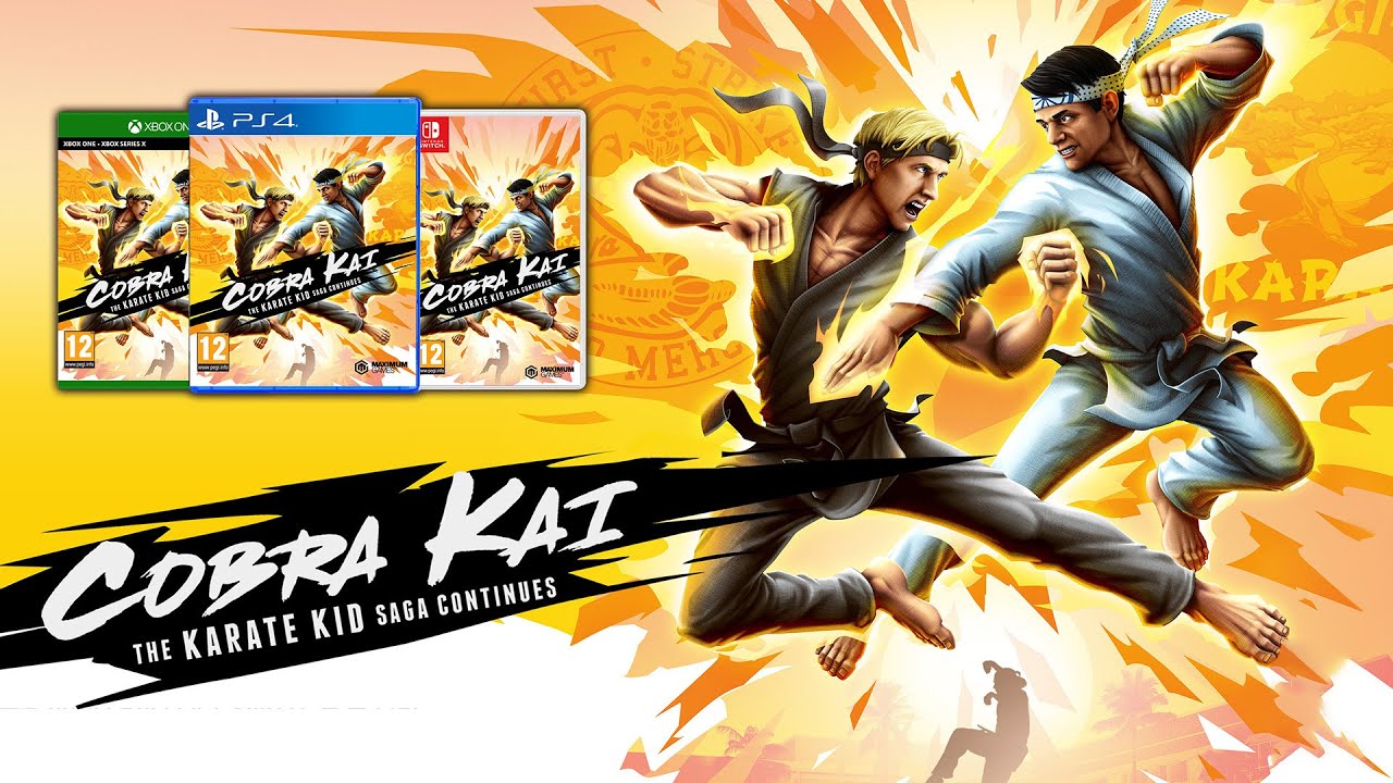 Cobra Kai The Karate Kid Saga Continues Switch