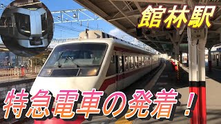 【200系特急りょうもう＆500系特急リバティりょうもう 特急電車の発着 】本家いちごカラー？特急りょうもうやリバティ等、館林駅発着の電車を撮影！